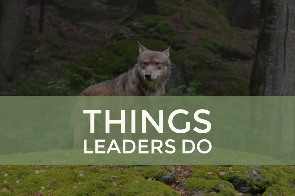 Things Leaders Do
