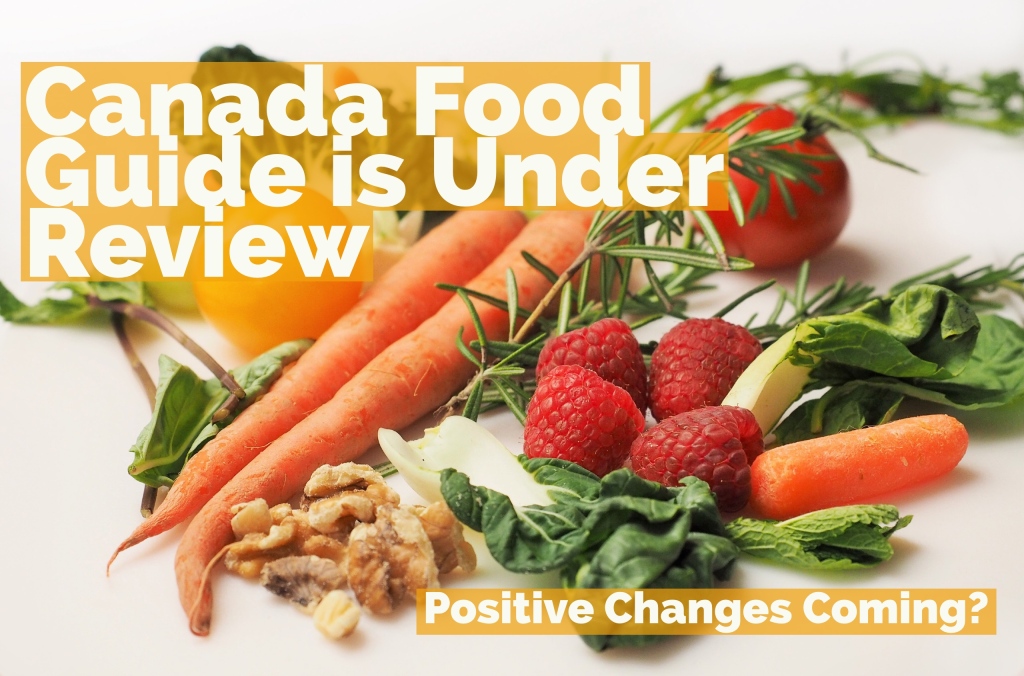 Canada Food Guide is Under Review: Positive Changes Coming?