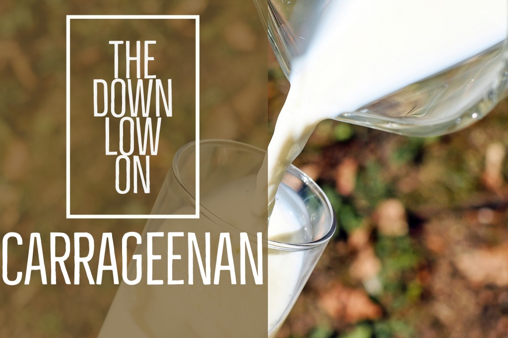The Down Low on Carrageenan